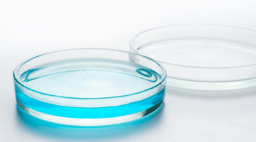 Laboratory chemical Petri dish with blue liquid on white background.